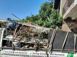 Trusted Spanish Springs, NV Junk Removal Services Experts